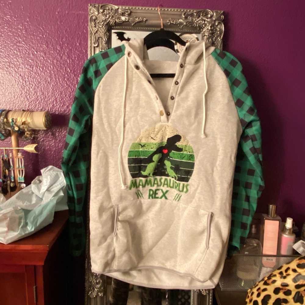 DINOSAUR plaid hoodie